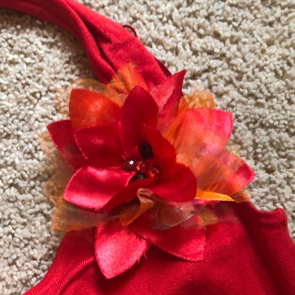 Cache Halter Top - Picture 2 of 4